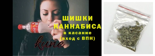 твердый Лагань