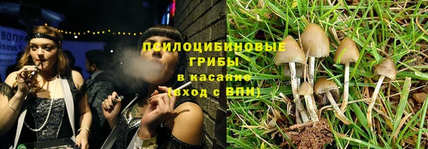твердый Лагань