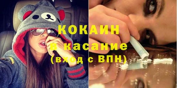 твердый Лагань