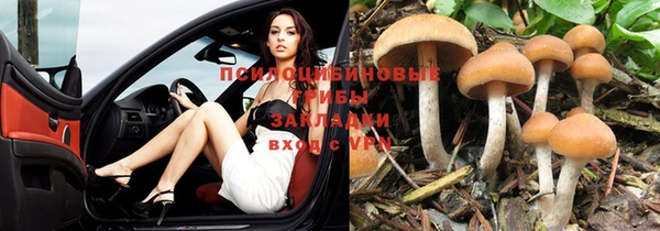 прущая мука Ладушкин