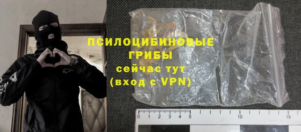 твердый Лагань