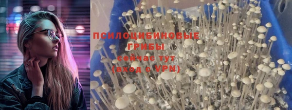 твердый Лагань