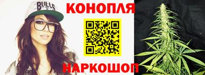 прущие грибы Аргун