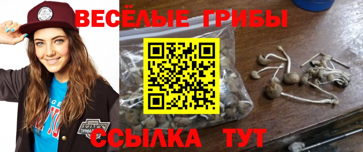 Галлюциногенные грибы ЛСД Усинск